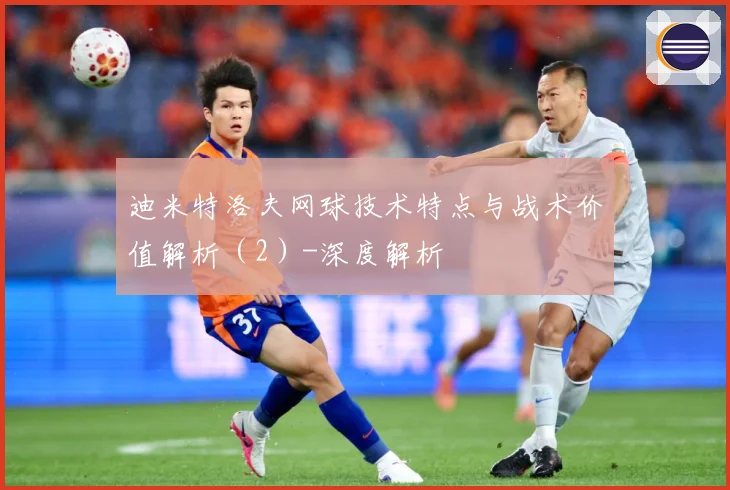迪米特洛夫网球技术特点与战术价值解析（2）-深度解析