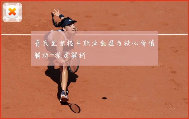 普瓦里尔格斗职业生涯与核心价值解析-深度解析