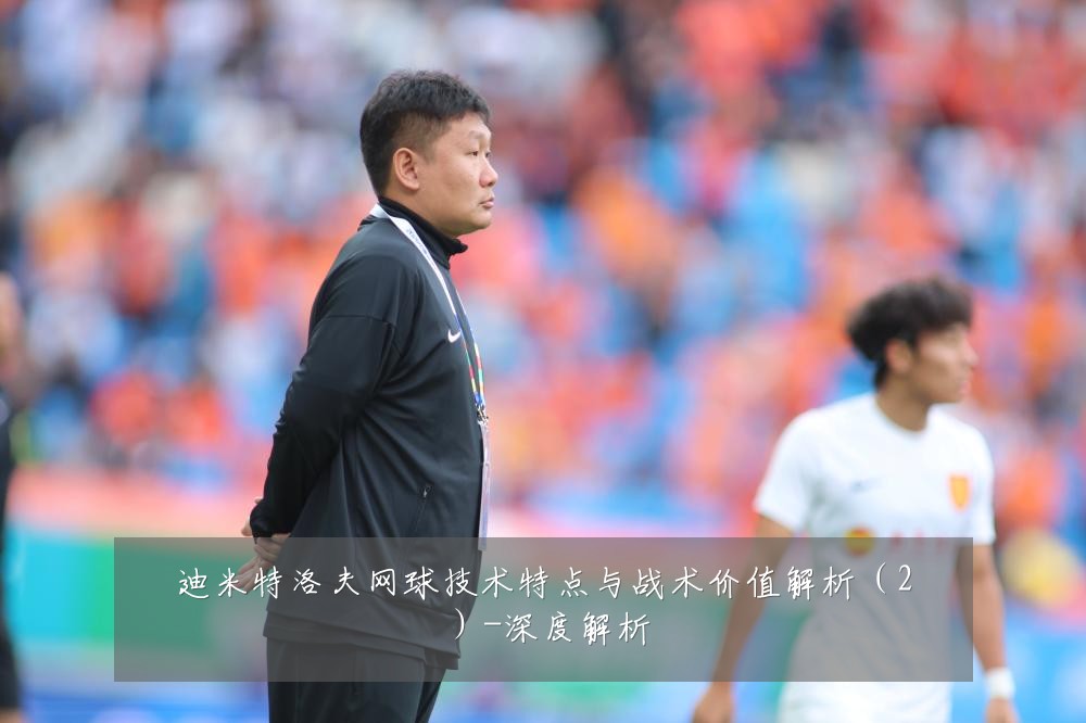迪米特洛夫网球技术特点与战术价值解析(2)-深度解析