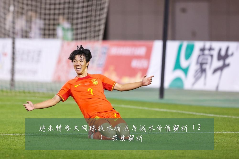 迪米特洛夫网球技术特点与战术价值解析(2)-深度解析