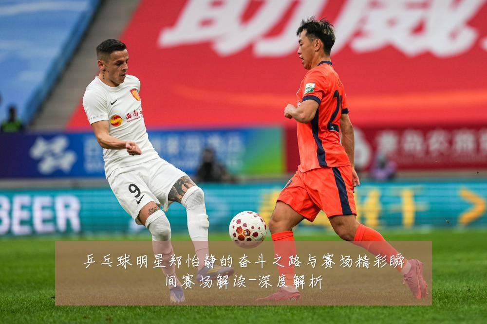 乒乓球明星郑怡静的奋斗之路与赛场精彩瞬间赛场解读-深度解析