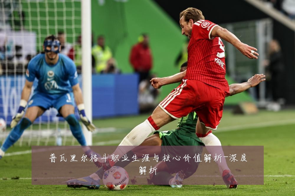 普瓦里尔格斗职业生涯与核心价值解析-深度解析