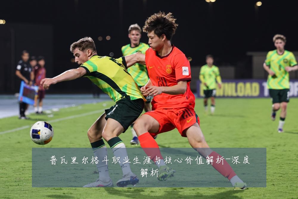 普瓦里尔格斗职业生涯与核心价值解析-深度解析